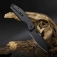 N CJRB Cutlery Ekko Black Steel J1929B-BST
