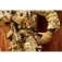 N Extrema Ratio Col Moschin Desert Warfare EX0125DW