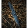 N Extrema Ratio Caimano Nero N.A. EX0166BLK