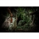 N Extrema Ratio Dobermann IV Africa EX0184AFR