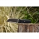 N Extrema Ratio T4000 C Satin EX0434SAT