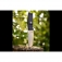 N Extrema Ratio T4000 C Satin EX0434SAT