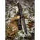 N Extrema Ratio Requiem Black EX0478BLK