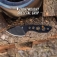 N Gerber Dibs 31-004116