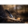 N Schrade Adder 1182521