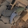 N SOG Gambit XL GB2001-BX